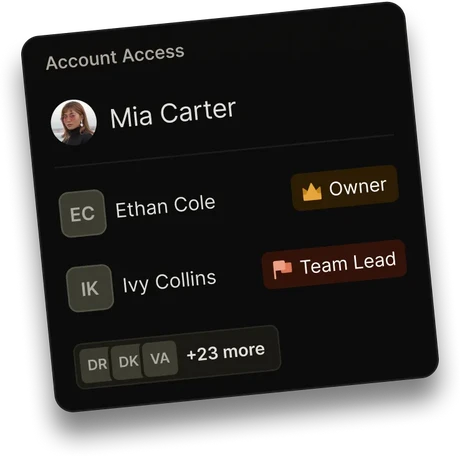 Account Access — owner, team lead, and members
